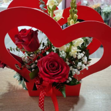 Caixas de flores